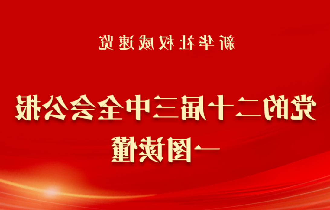 党的二十届三中全会公报一图读懂